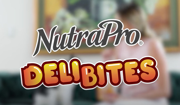 delibites-700x410-1