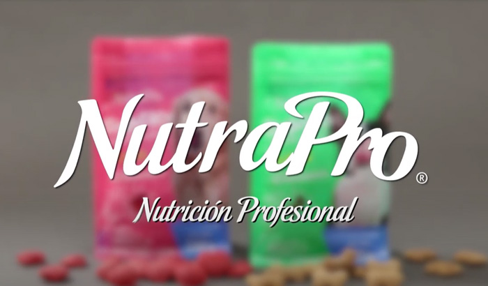 snacks-perros-700x410-1