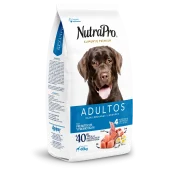 Adultos_perros_medianas y grandes