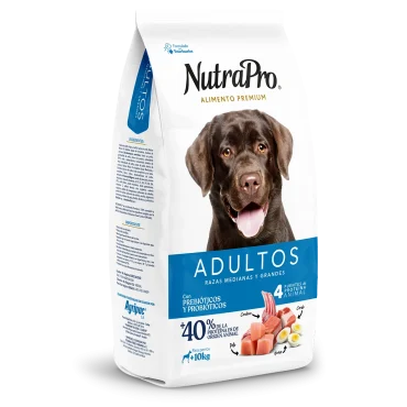 Adultos_perros_medianas y grandes
