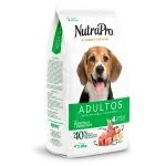 Adultos_perros_pequeñas y miniaturas