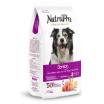 Adultos_perros_senior