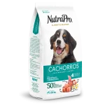 Cachorros_perros_medianas y grandes
