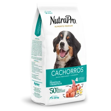 Cachorros_perros_medianas y grandes