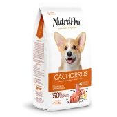 Cachorros_perros_pequeñas y miniaturas