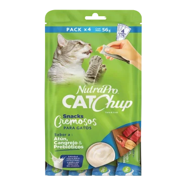 Catchup_gatos_cangrejo