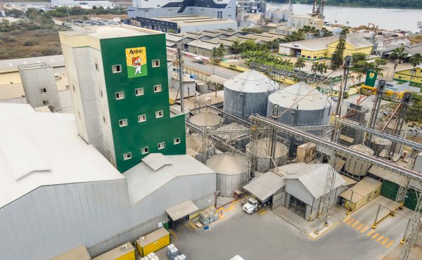 Planta Balanfarina