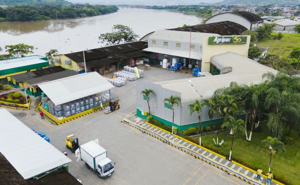 Planta Celteq